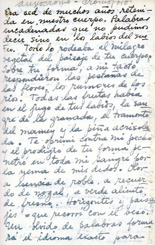Frida Kahlo’dan Diego Rivera’ya Aşk Mektupları / Yazı Atölyesi