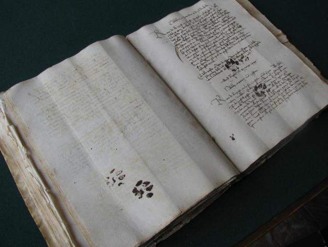 patiler Cat paws in a fifteenth-century manuscript (photo taken at the Dubrovnik archives by @EmirOFilipovic)