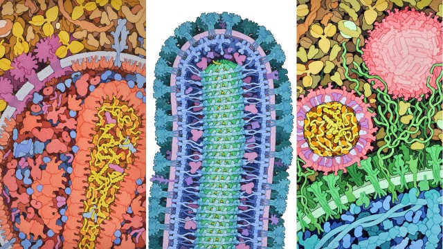 YKorona Günlerinde HIV Damgalamasını Hatırlamak