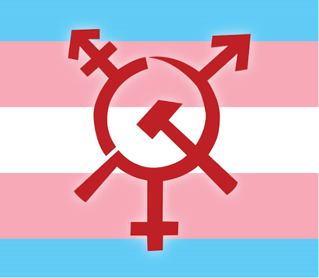 YMarksizm ve Trans Özgürleşmesi 