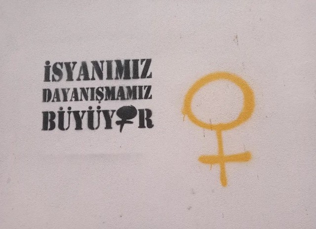 YRadikal Kapsayıcılık: Radikal Feminizmin Trans Kapsayıcı Tarihini Anlatmak