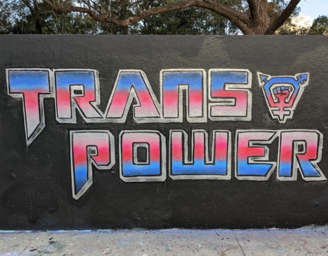 Y“Erkek sosyalleşmesi” ve “trans erkek- trans kadın karşıtlığı” söylemi üzerine